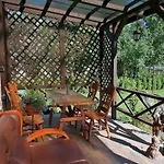 Privat Forest Lipótszentmiklós