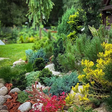 Vendégház Privat Forest