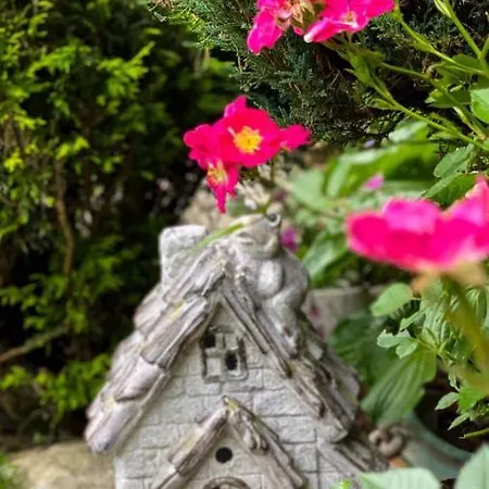 Privat Forest Vendégház