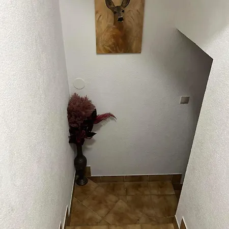 Privat Forest Vendégház Lipótszentmiklós