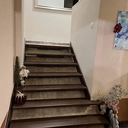 Privat Forest Vendégház 3*