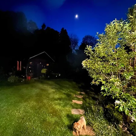 Privat Forest 3*