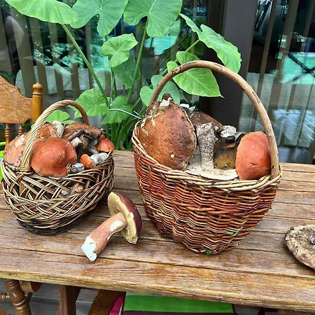 Vendégház Privat Forest